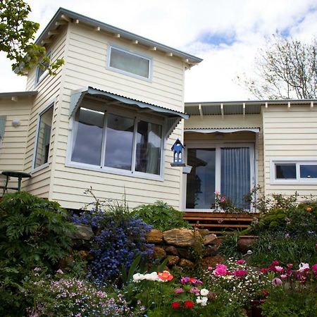 올버니 Lotti'S House 빌라 외부 사진